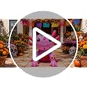 4FT Inflatable Halloween Axolotl Decor with LED Lights for Day of the Dead & Halloween