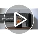 Halloween Snow Globe Lantern with Witch's Black Cat in Pumpkins - Spooky Music & Glitter, USB/Battery Operated - 10 Inch - Variation: Black Cat in Pumpkins