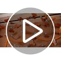 Large Artificial Monarch Butterfly Decorations Set - 16 Pcs with String for Events & Holiday Decor