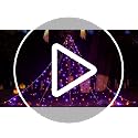 Halloween Outdoor Spider Web Decorations 19.7ft x 14.7ft Lighted Web with Purple & Orange LEDs, 8 Modes, Timer, Waterproof – White Cord Variation
