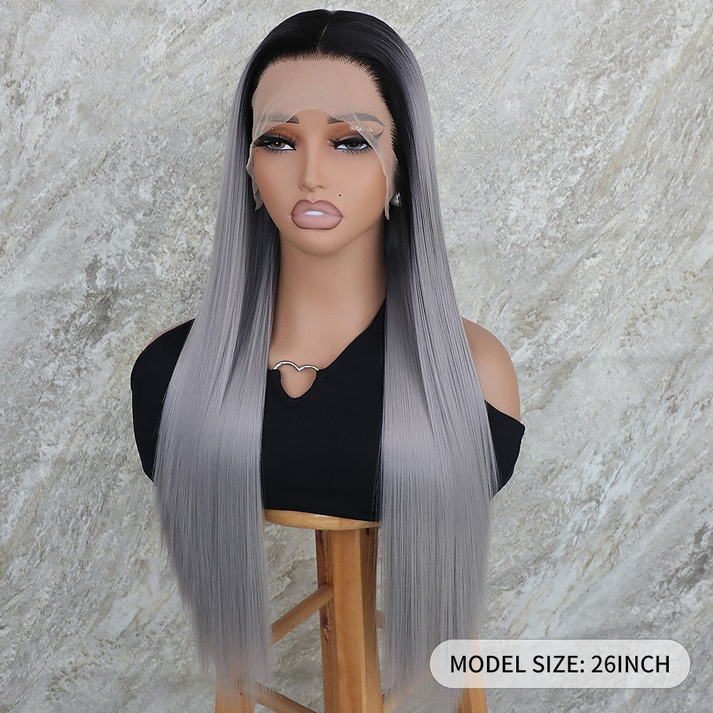 Gray Ombre Lace Front Wig - Synthetic Heat Safe Long Straight Pre Plucked 13x4