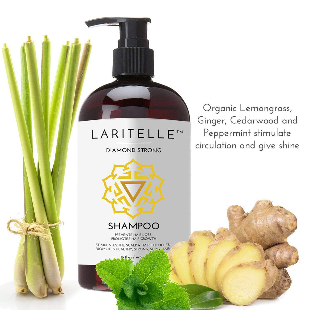 Organic Botanical Sulfate-Free Shampoo for All Hair Types - 17.5 oz