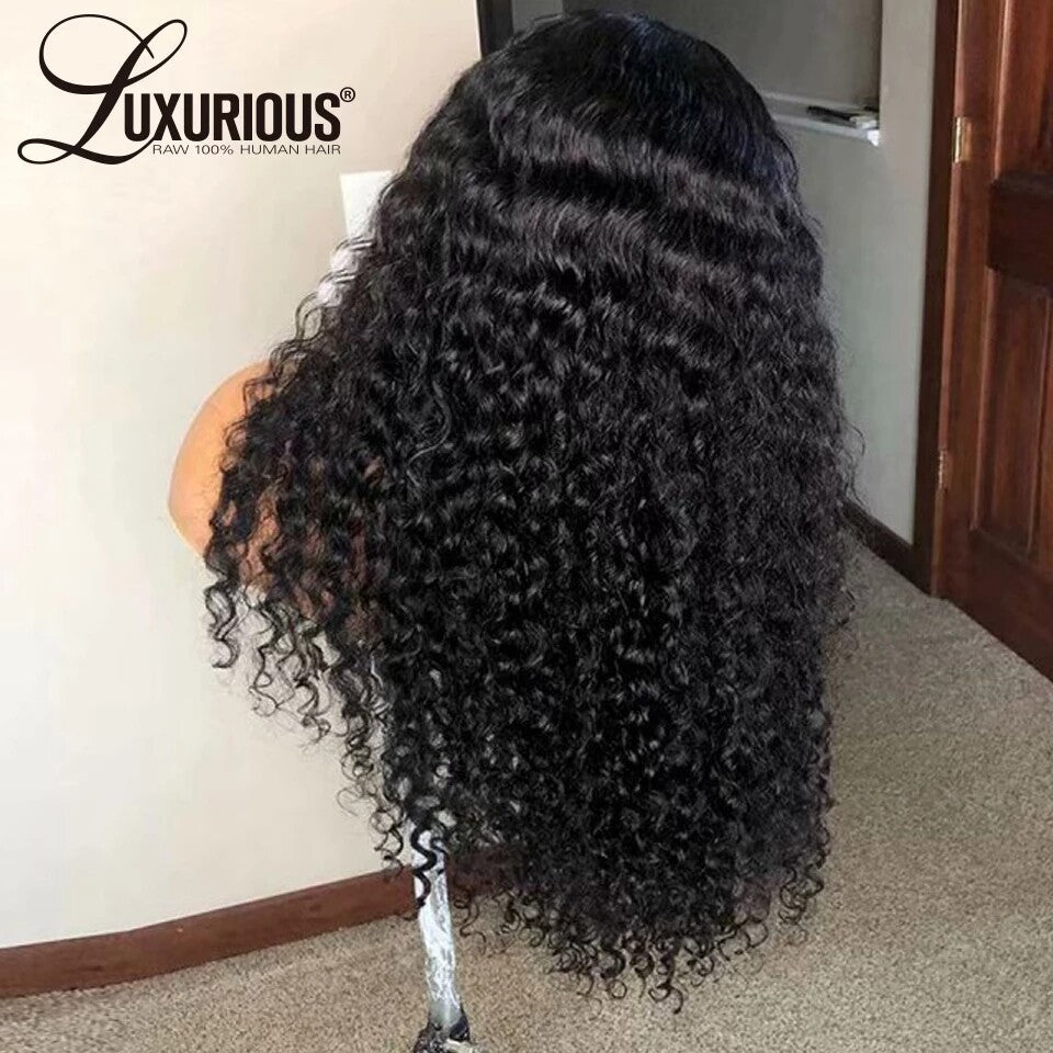 Curly Human Hair Wig Brazilian Remy Pre-Plucked Lace Front & Full Lace Styles