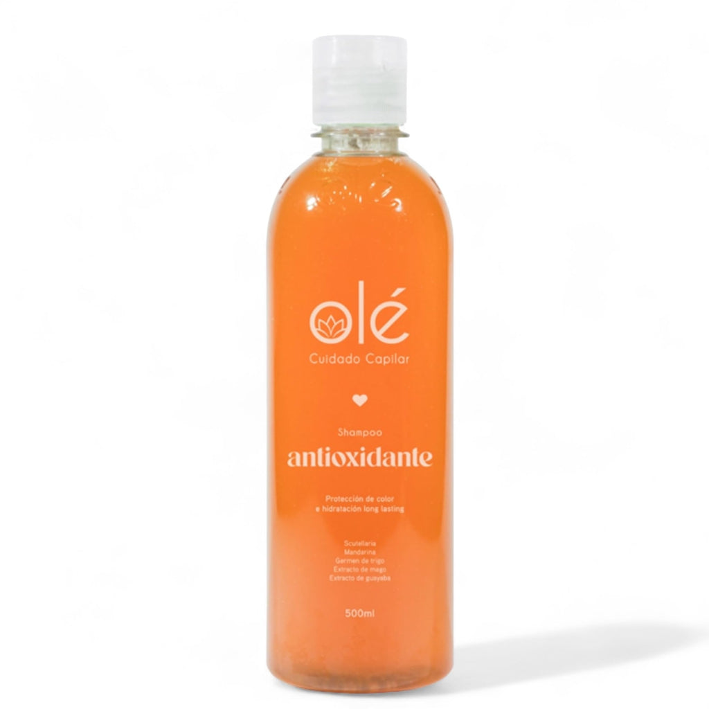 OLÉ Blond Duo Pack Fruit Mix Shampoo & Mango Conditioner for Color Protection
