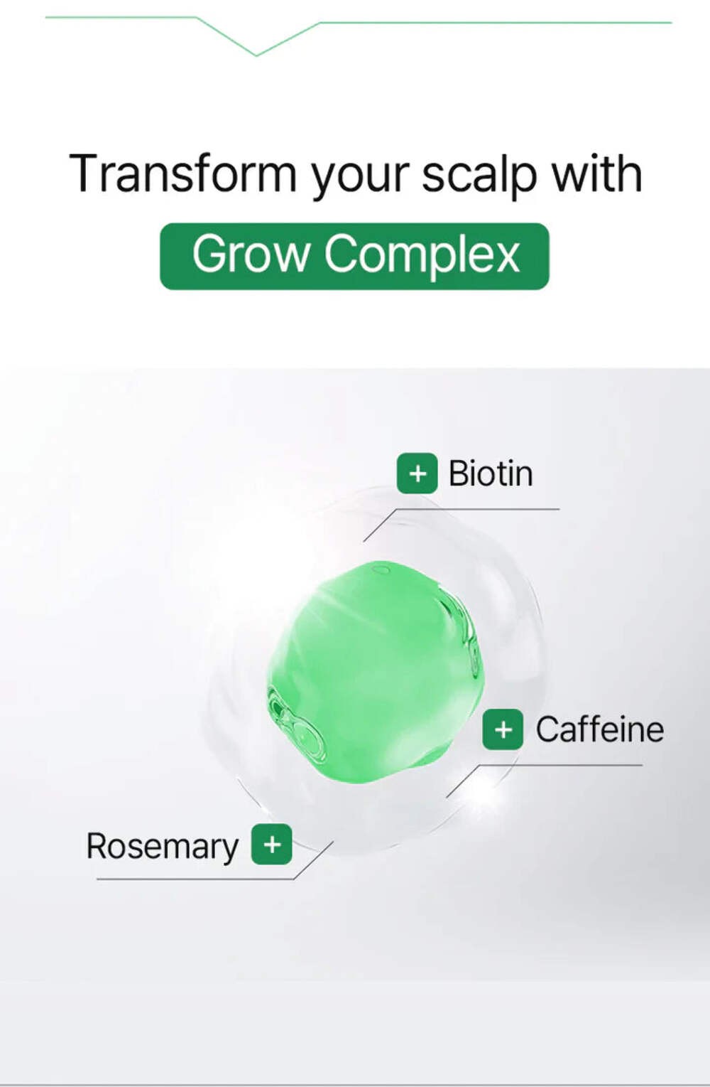 Scalp Tonic with Rosemary and Biotin for Hair Growth - 100ml