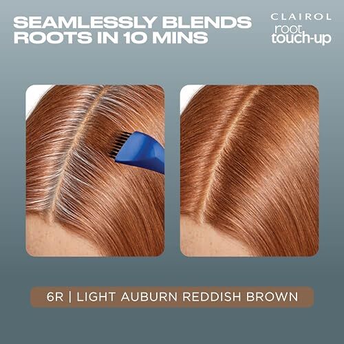 Clairol 6R Light Auburn Permanent Root Touch-Up Kit - Gray Coverage 2 Count