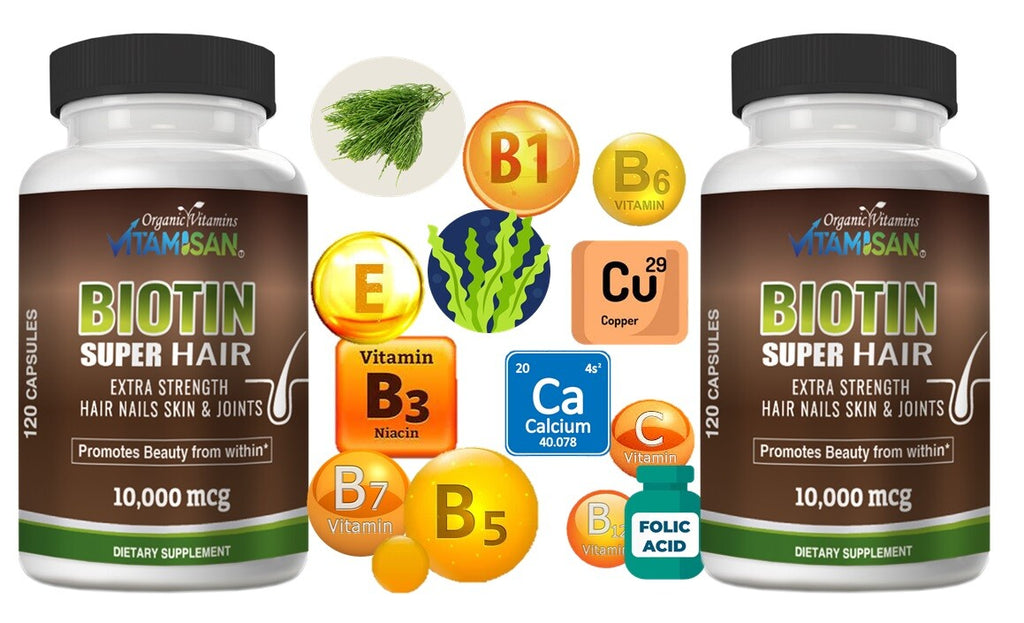 Hair Growth Vitamins - Biotin Support for Hair Loss - 240 Capsules