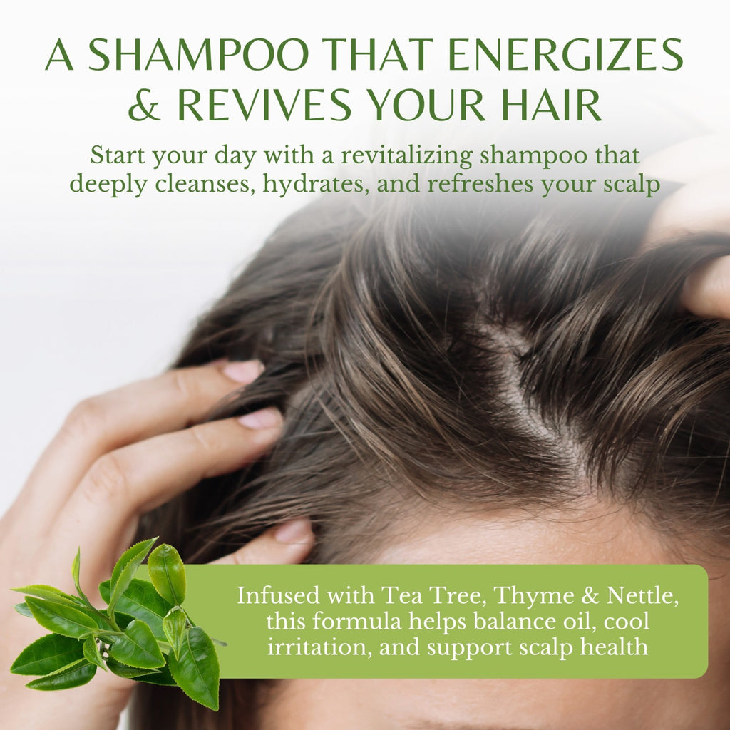 Tea Tree Anti-Dandruff Shampoo for Dry Itchy Scalp - 16 oz, 2 Pack