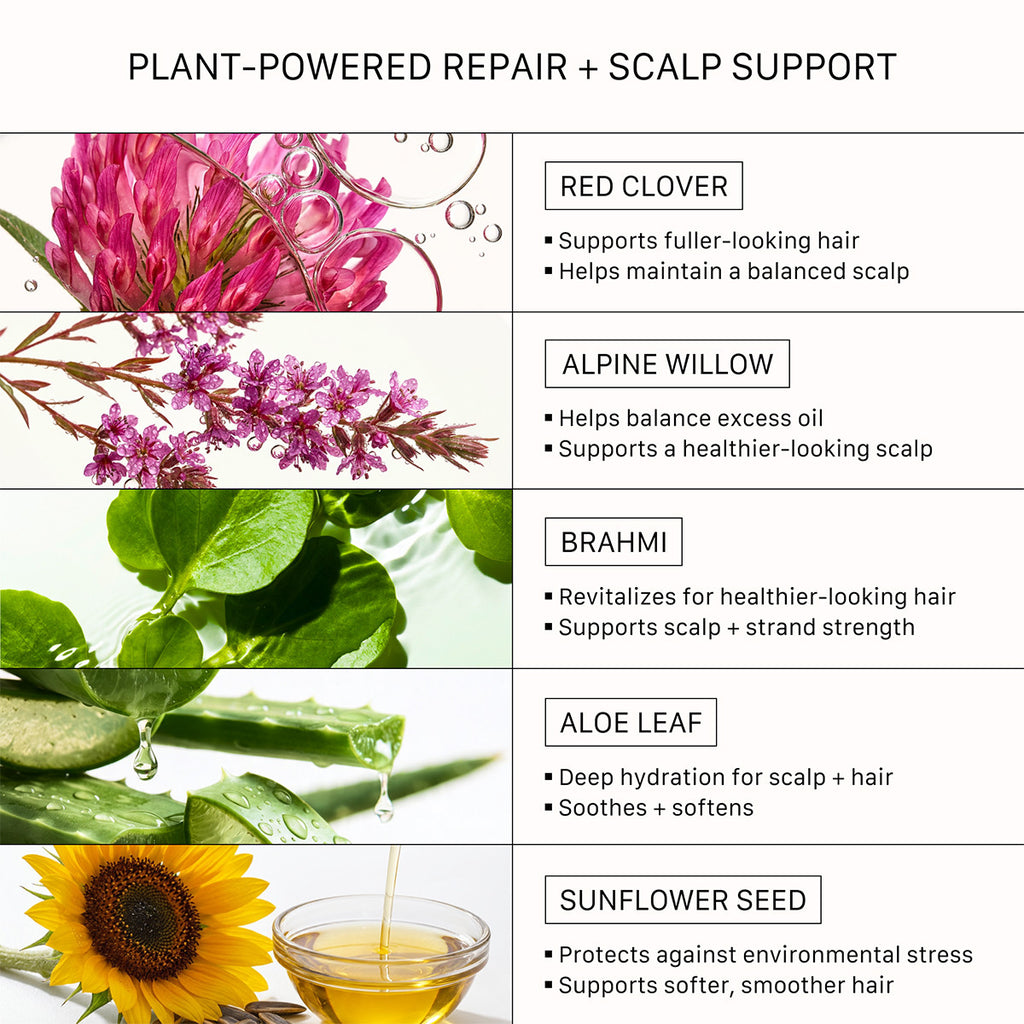 Botanical Hair Repair Duo Set - Shampoo & Conditioner for Dry & Color-Treated Hair