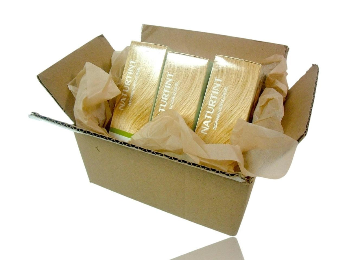 (3-Pack) Natural Hair Color Gel 10N Light Dawn Blonde No Ammonia - Permanent Hair Dye