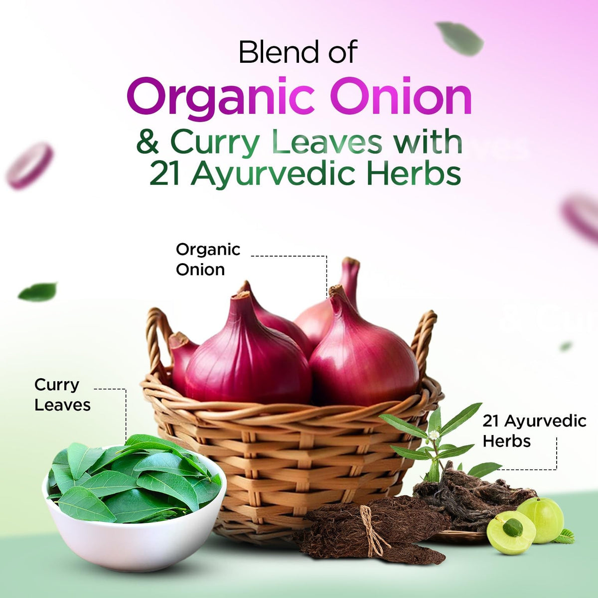 Organic Onion Shampoo for Hair Fall Control & Growth Support - 10.14 Fl Oz