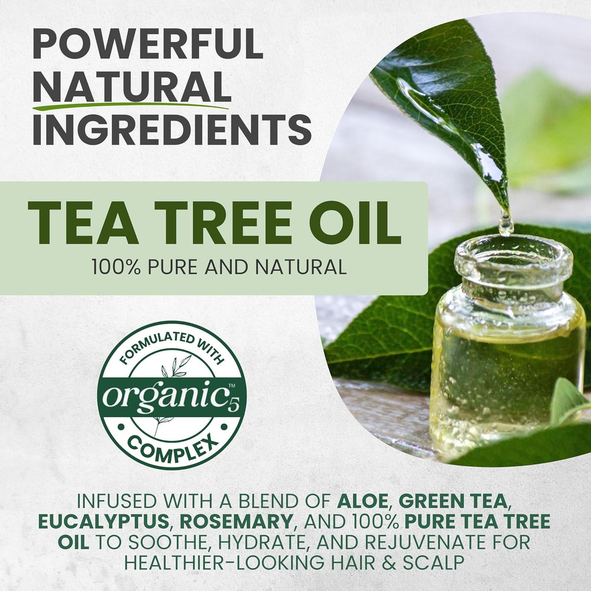 Tea Tree Oil Shampoo and Conditioner Set for Itchy Scalp Relief - Natural Clarifying Hair Care
