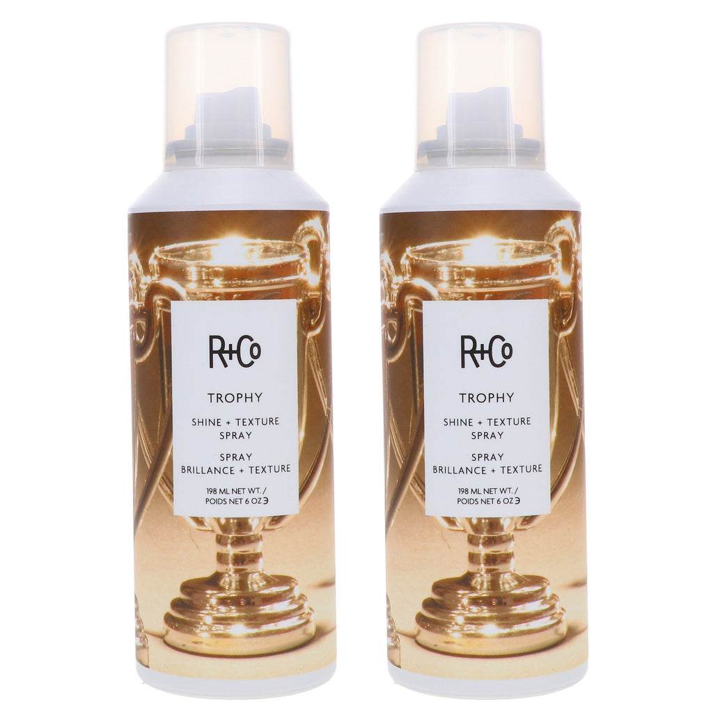 Hair Texturizing & Shine Spray - 6 oz 2-Pack for Volume & Flexible Hold