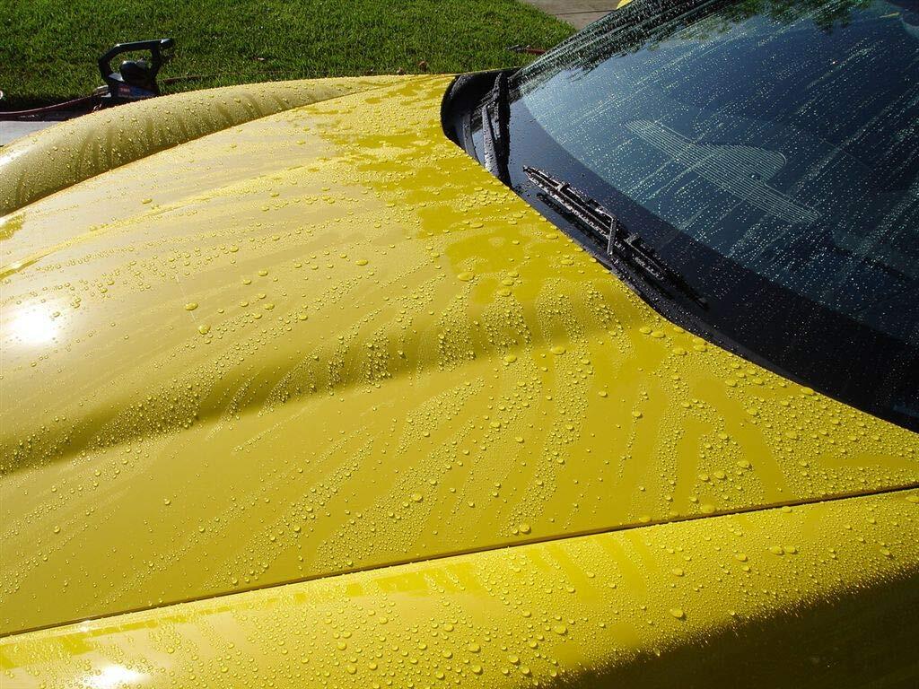 High Gloss Polymer Surface Protection Wax 16oz - Scratch & UV Resistant