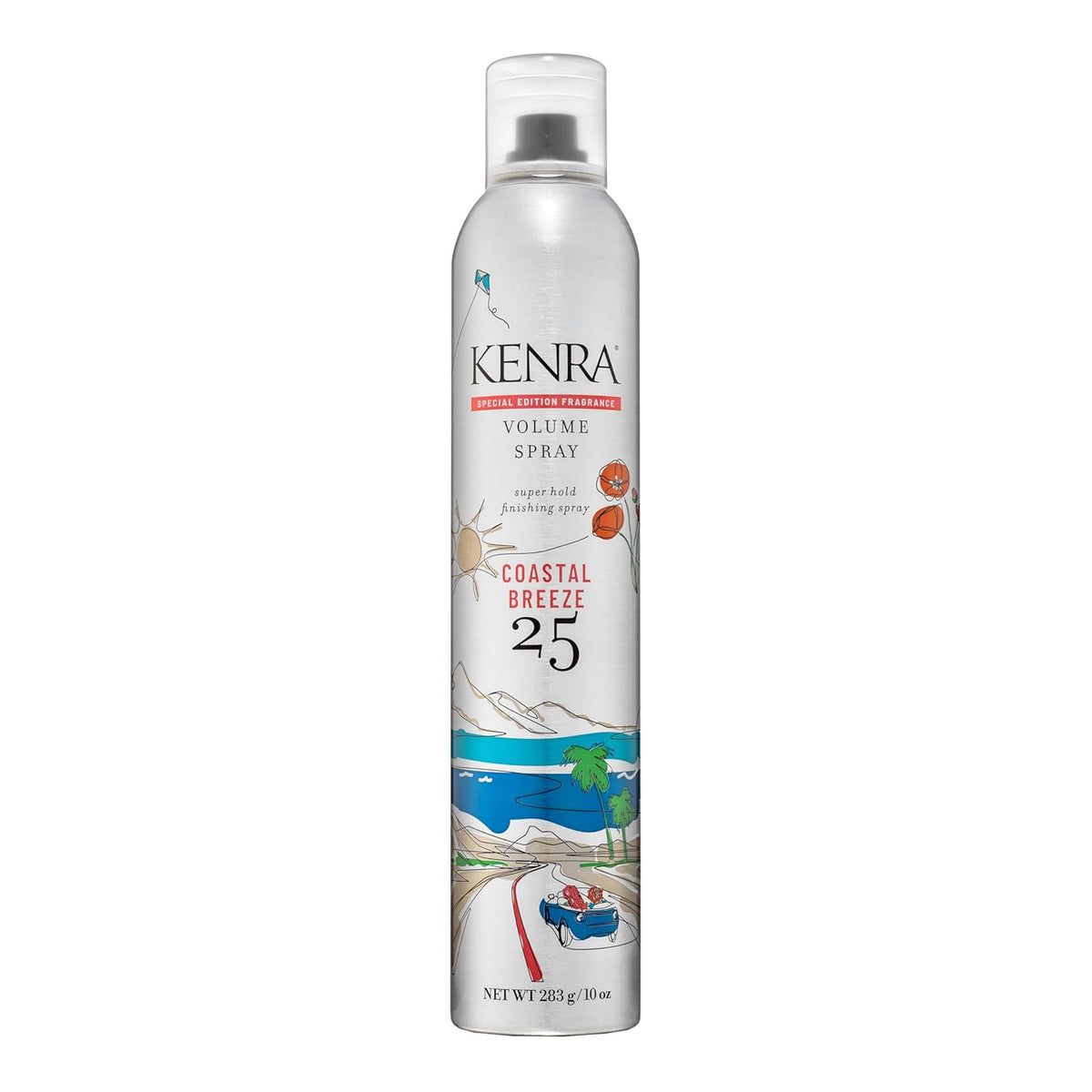 Professional Super Hold Hairspray with Wind & Humidity Resistance - All Hair Types