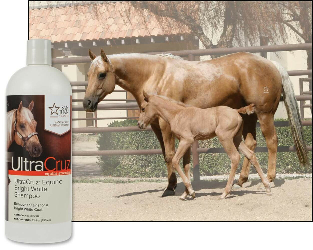 White Horse Shampoo for Equine Brightening & Whitening 32 oz