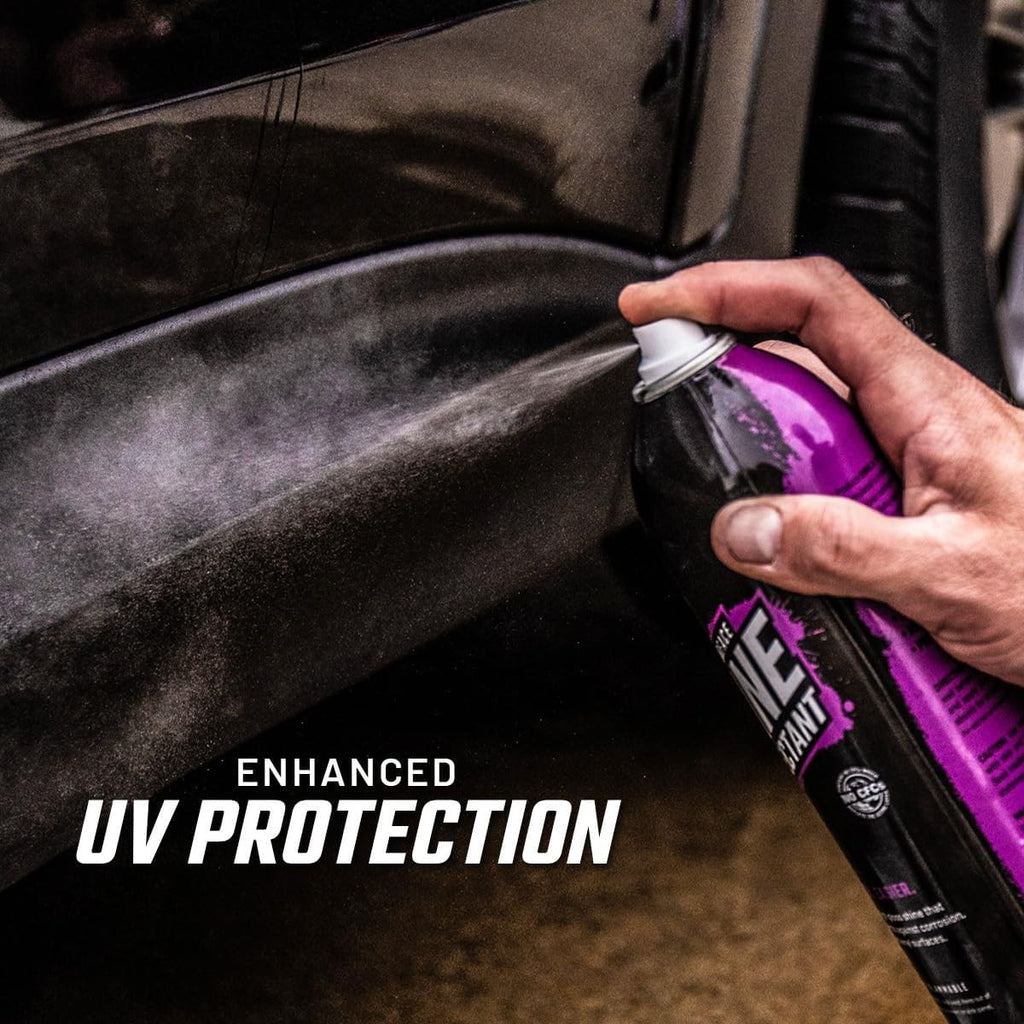 Multi-Surface Car Shine & Protectant Spray 6-Pack - High-Gloss Finish