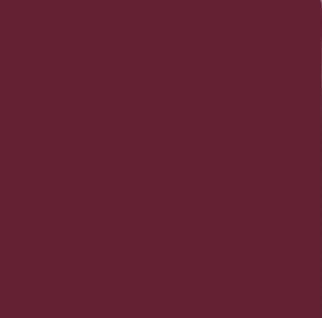 Liquid Lipstick Matte - Ultimate Wine, 6ml, Studio Look