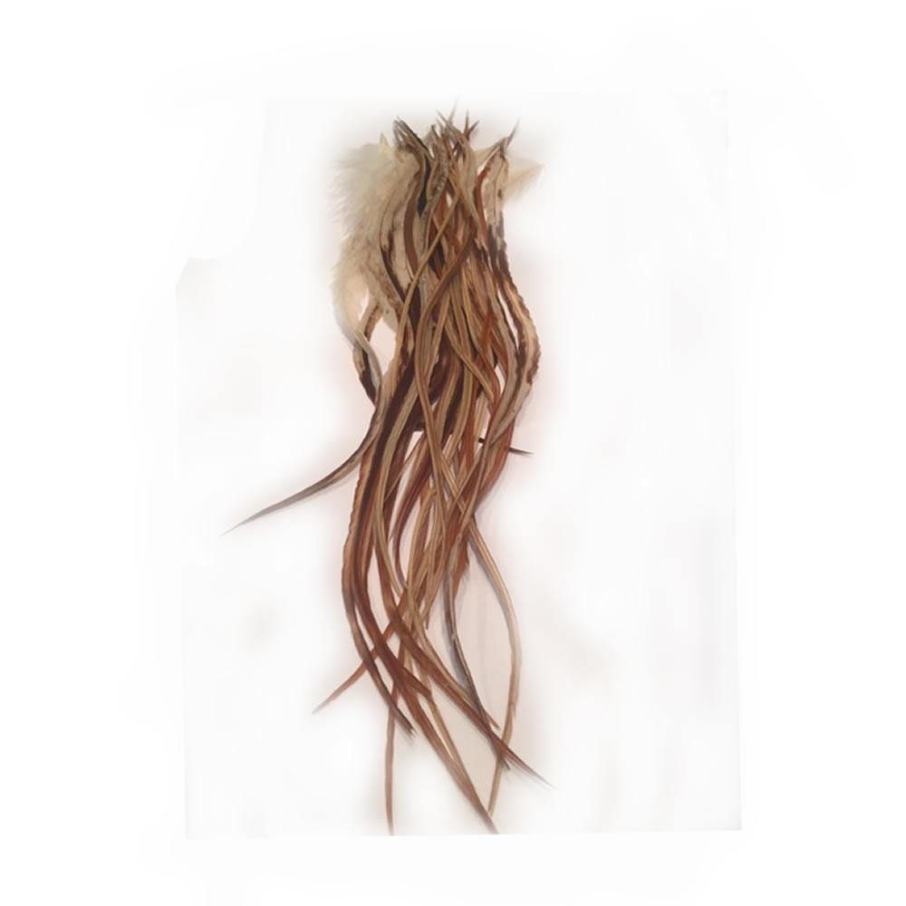 Natural Beige & Brown Feather Hair Extensions - 8-12 Inch Length