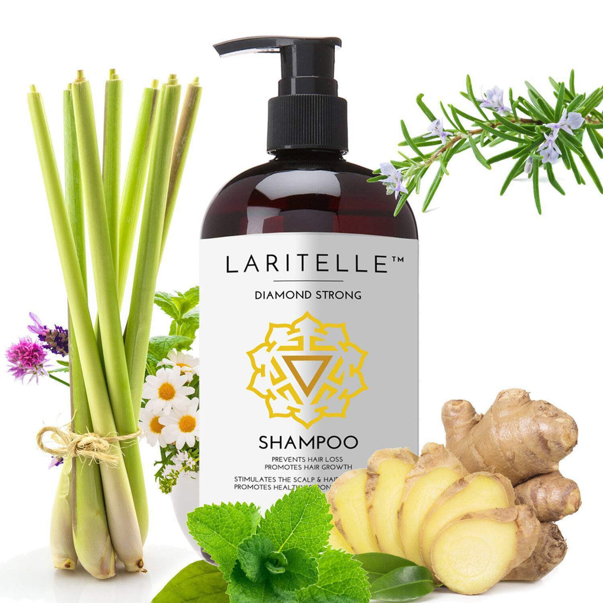 Organic Botanical Sulfate-Free Shampoo for All Hair Types - 17.5 oz