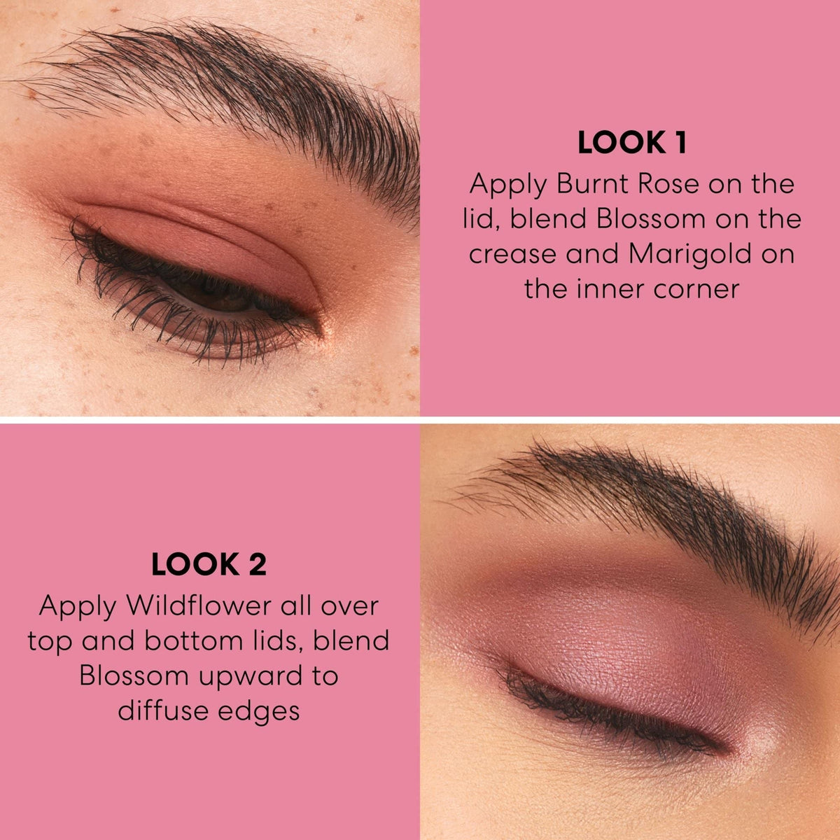 Vegan Eyeshadow Palette with 6 Pigmented Shades - Rosewood