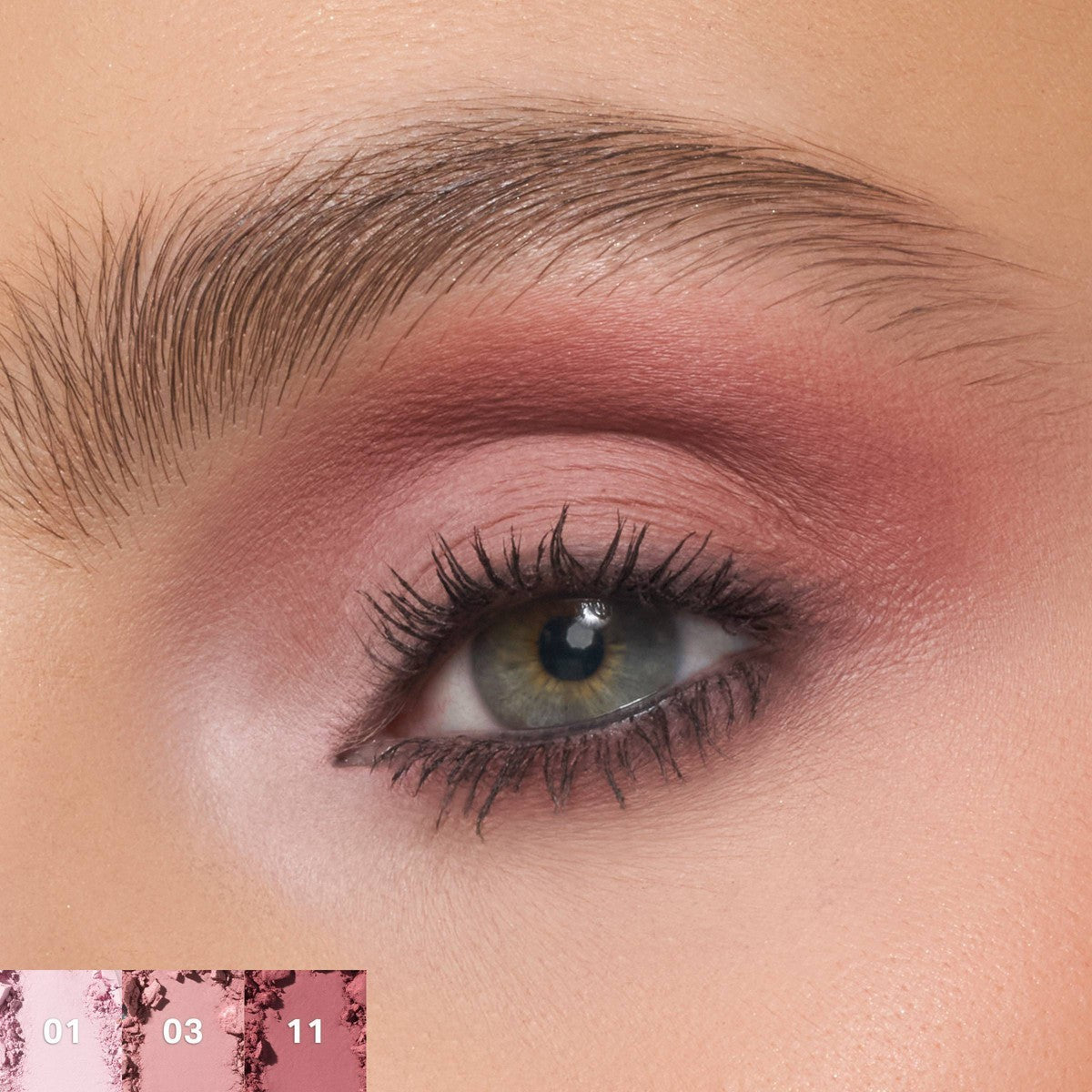 Rose Frequency Eyeshadow Palette - 15g Morphe