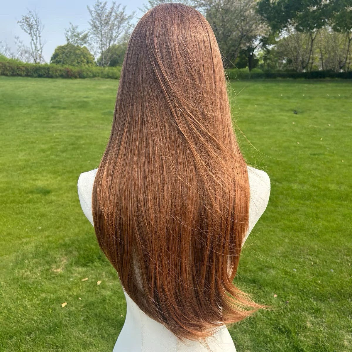 Lace Front Wigs - 13x4 Straight Auburn Light Brown 26 Inch Silky Heat-Resistant Hair Extension