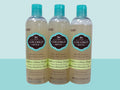 Hask Coconut Water Weightless Volume Shampoo - 12 oz Pack of 3