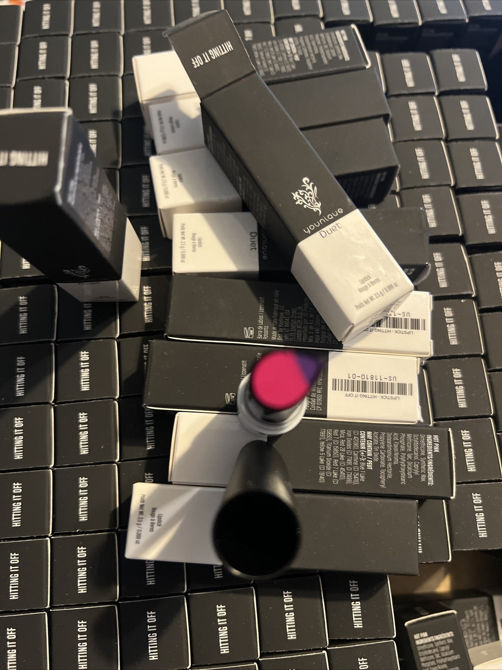 Duet Lipstick Set 10 Colors Hitting It Off New Lot