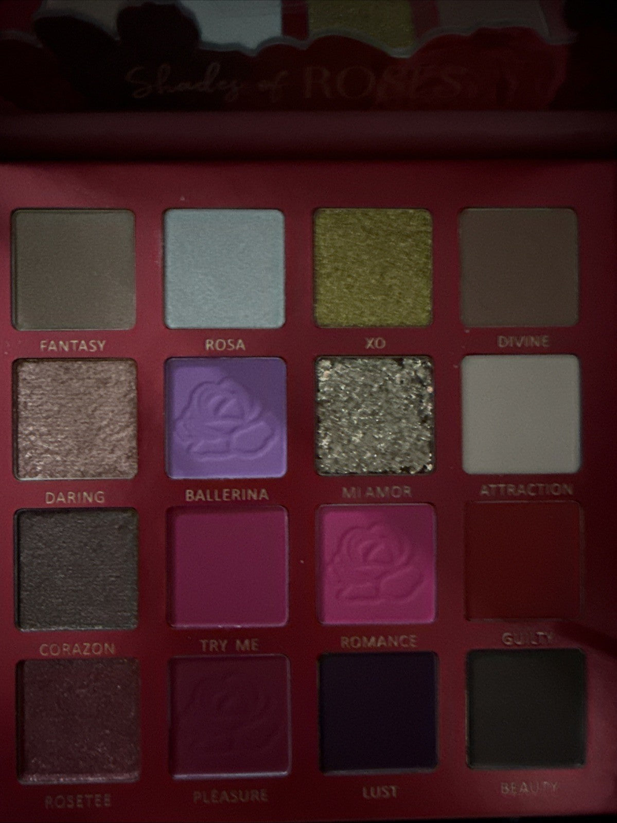 16-Color Eyeshadow Palette - Shades of Roses Makeup Set for Eye Makeup