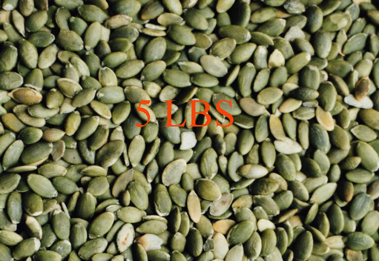 Organic Pumpkin Seeds Bulk Nut & Seed Snack Natural Superfood - Multiple Sizes