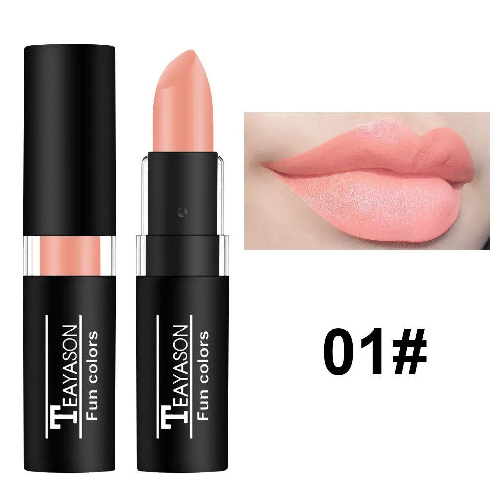 12-Color Matte Waterproof Long Lasting Lipstick Set - Black Blue Purple Green