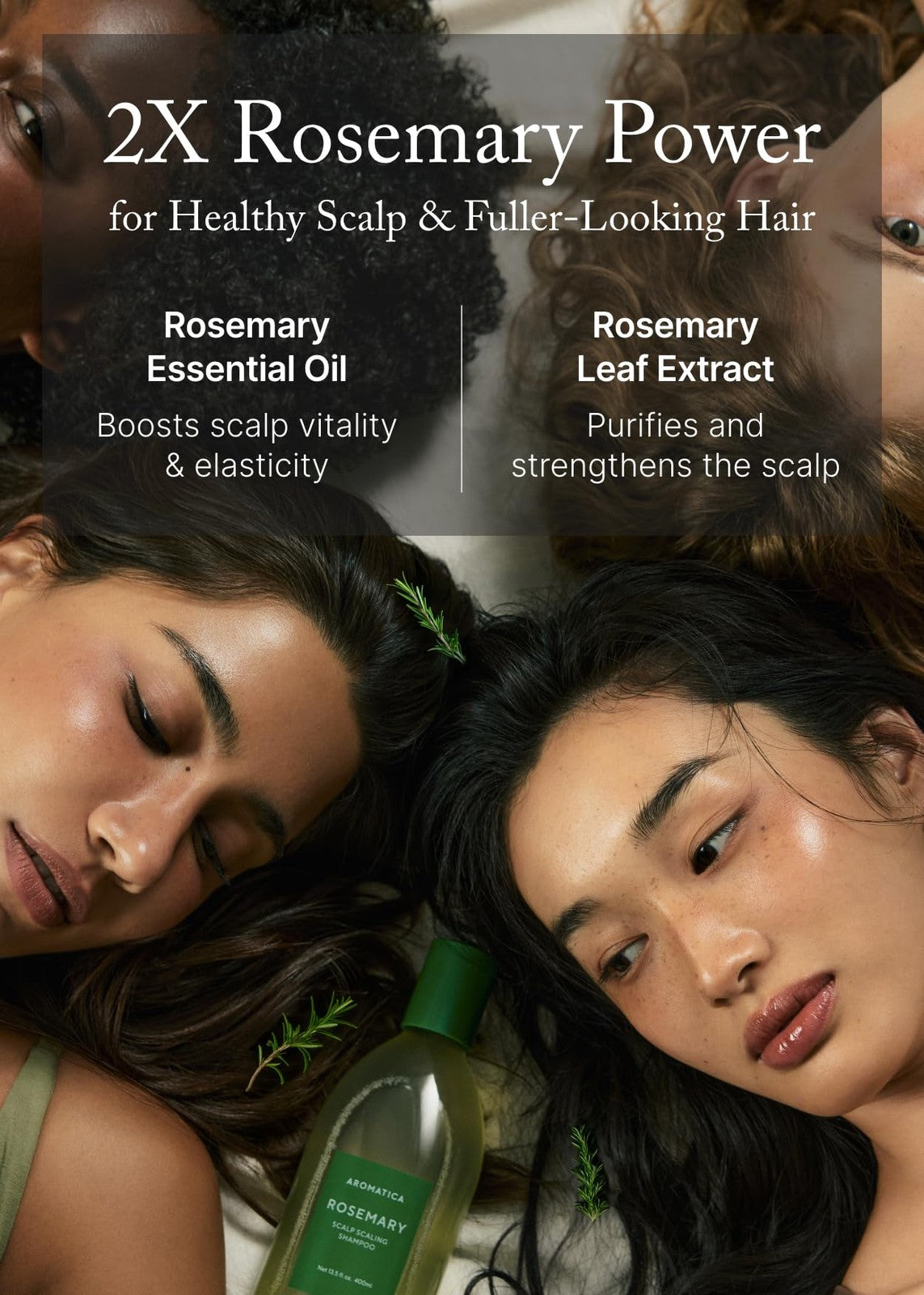 Rosemary Scalp Shampoo for Hair Growth & Thinning - Vegan & Sulfate Free 13.53oz