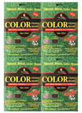 Herbal Hair Color Change Shampoo 2-in-1 Natural Formula 4 Pack