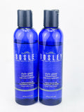 Hair Glaze Treatment Adds Shine & Builds Body - 6 Fl Oz, Pack of 2