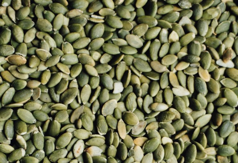 Organic Pumpkin Seeds Bulk Nut & Seed Snack Natural Superfood - Multiple Sizes