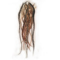 Natural Beige & Brown Feather Hair Extensions - 8-12 Inch Length