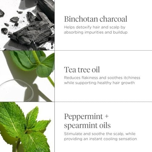 Scalp Treatment Serum with Charcoal and Tea Tree for Hair Care - Leave-In
