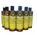 Argan Oil Clarifying Shampoo for Color-Treated Hair - Sulfate & Paraben Free, 6 x 350ML