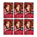 Revlon ColorSilk Hair Color Kit - 42 Medium Auburn, Pack of 6