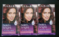 Clairol Bright & Bold BR4 Fruits of the Forest Hair Color - Temporary Hair Dye