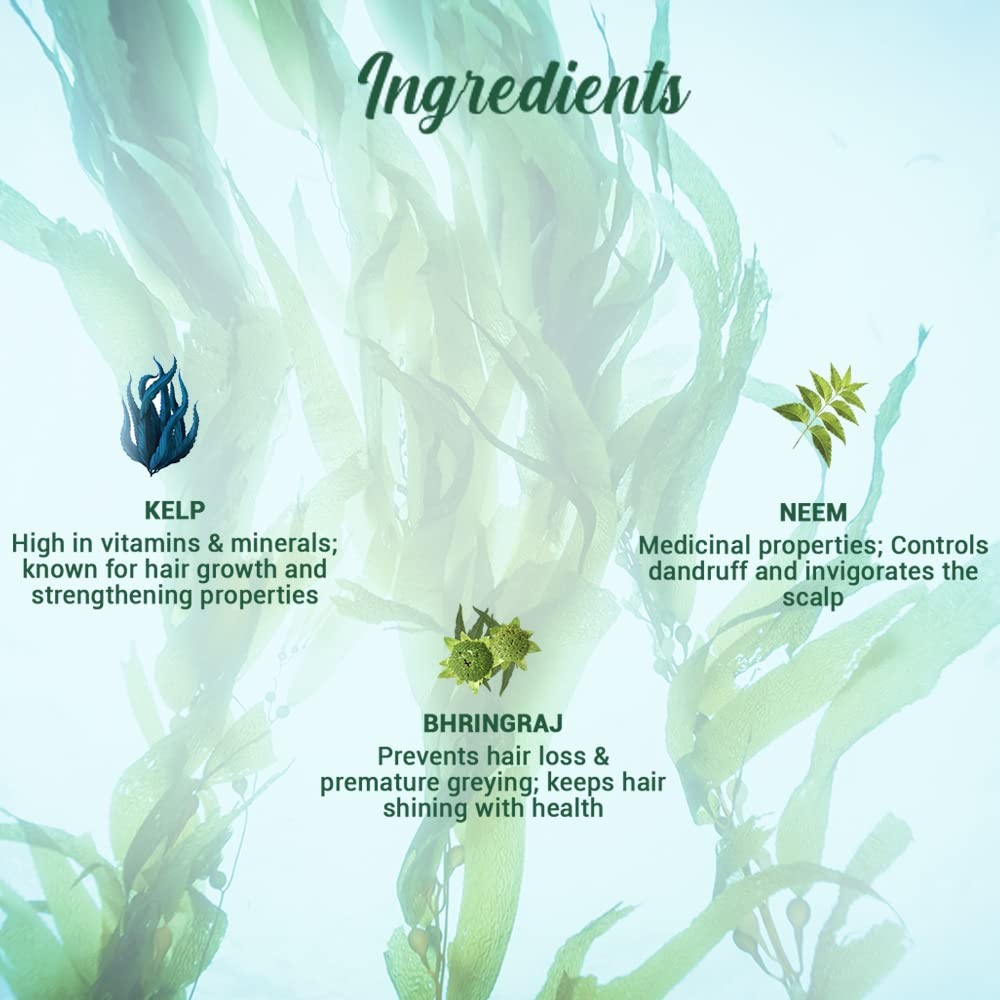 Ocean Kelp Anti Hairfall Shampoo for Hair Growth - Botanical & Shine 340ml