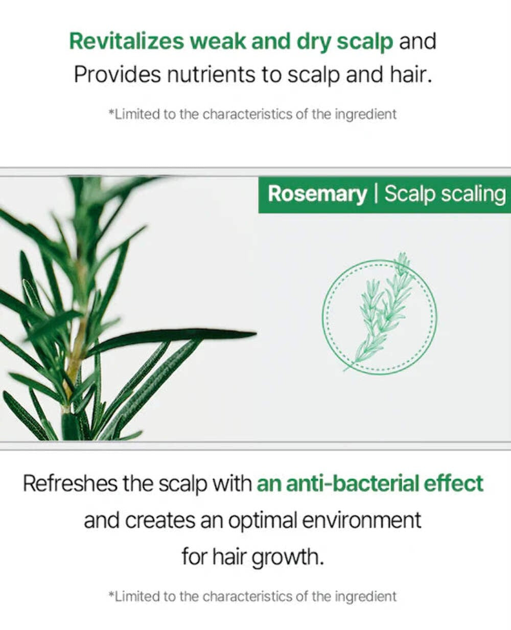 Scalp Tonic with Rosemary and Biotin for Hair Growth - 100ml