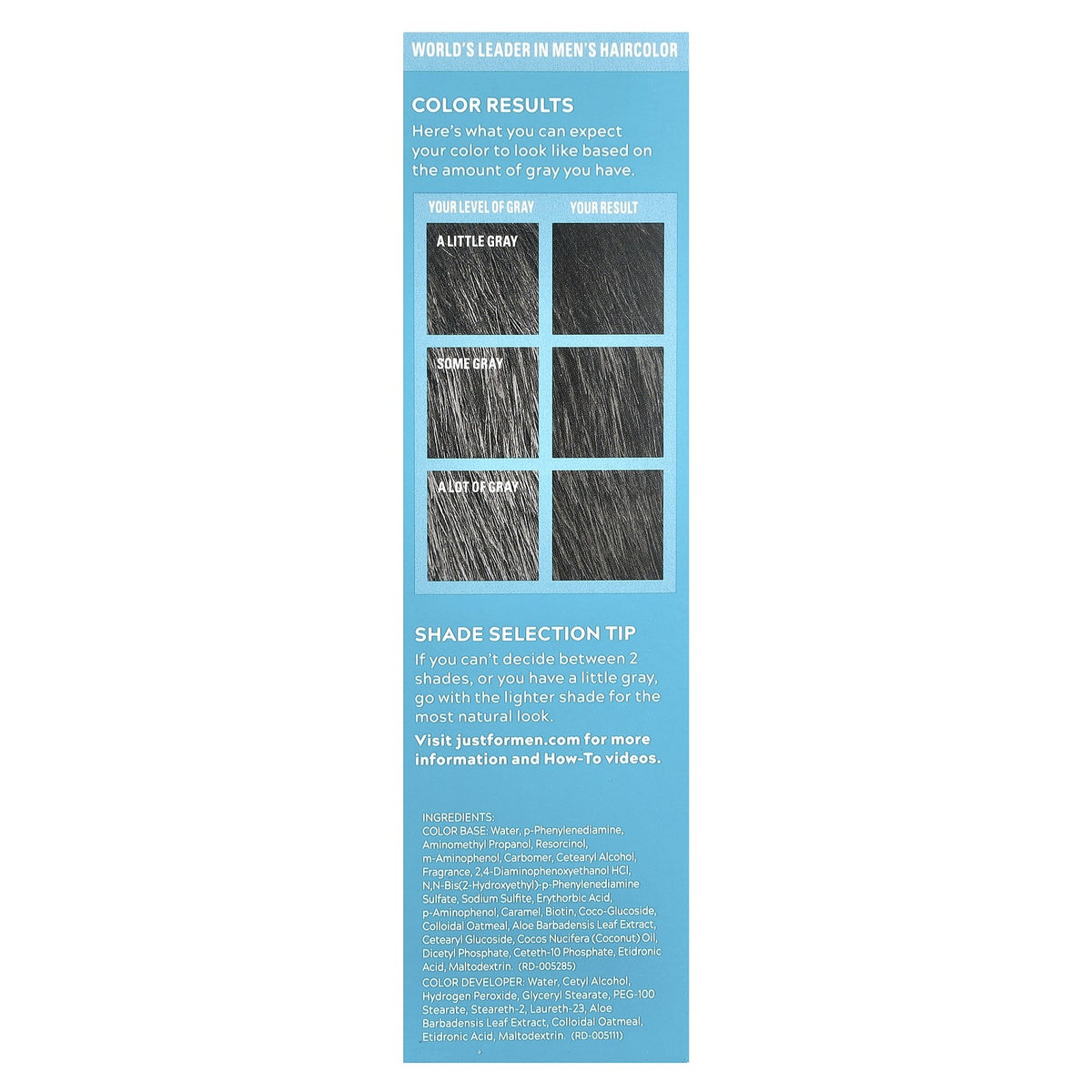 Men's Beard & Mustache Coloring Kit - Natural Black, Easy Brush-In, 5 Min