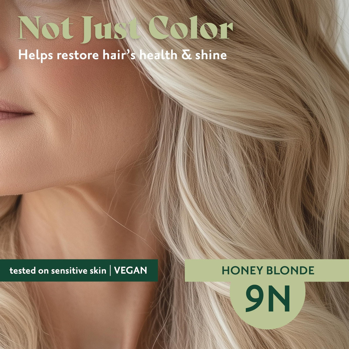 Ammonia-Free Honey Blonde Hair Coloring Kit - Natural Series, 575oz Pack of 2