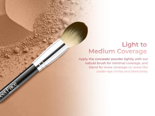 Concealer with Brush - Full Coverage SPF 20 Cast Light to Dark Shades