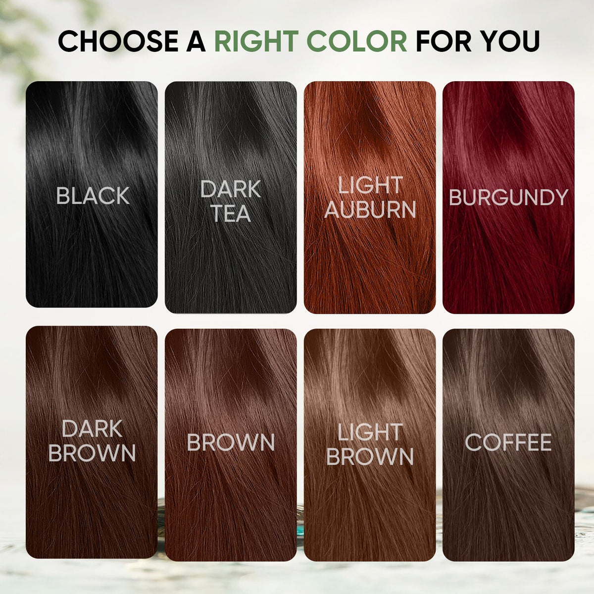 Brown Hair Dye Shampoo 3-in-1 Natural Herbal Hair Color for Gray Hair