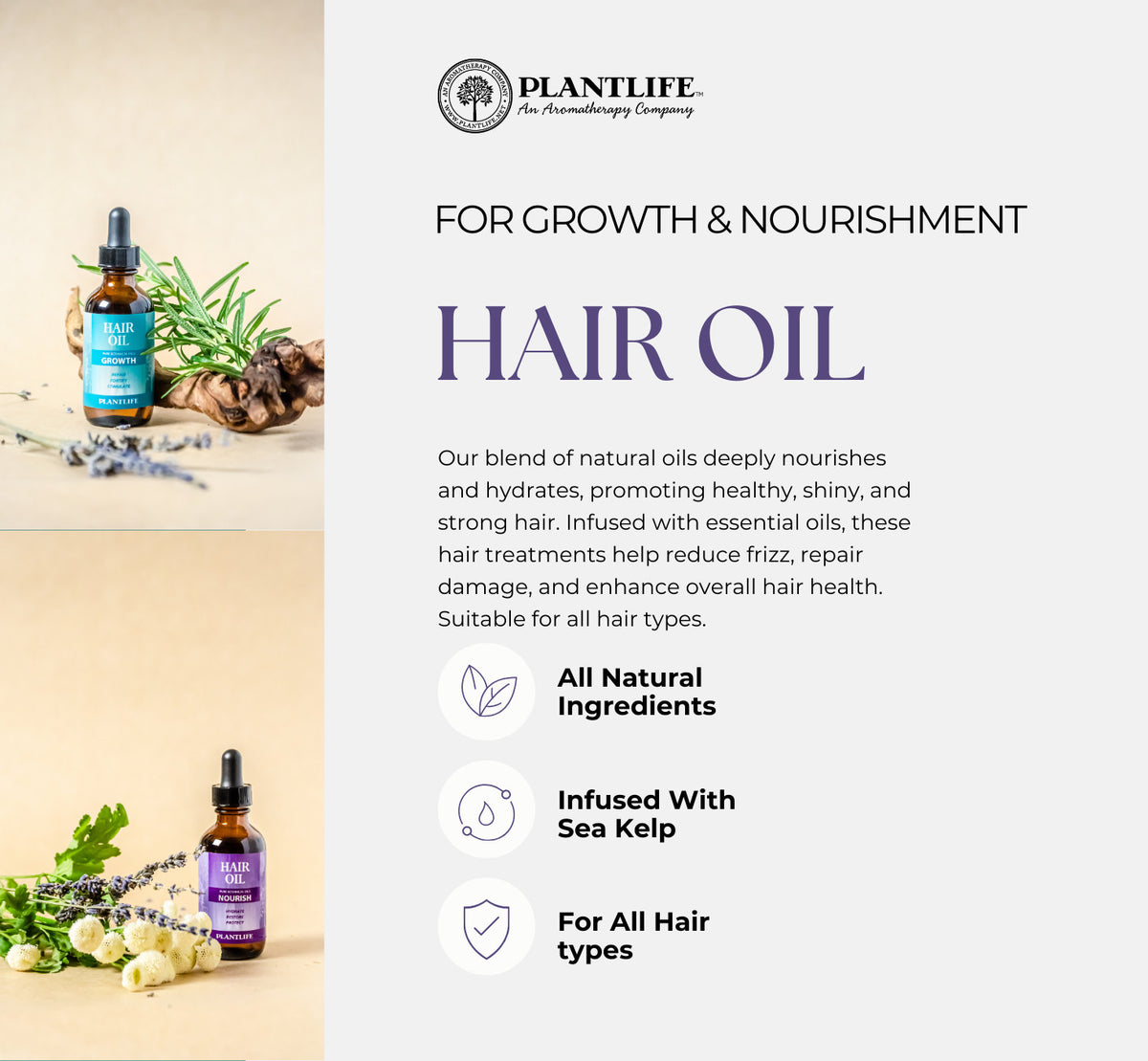Plantlife Natural Hair Oils for Growth & Nourishment - Organic Botanical Blend