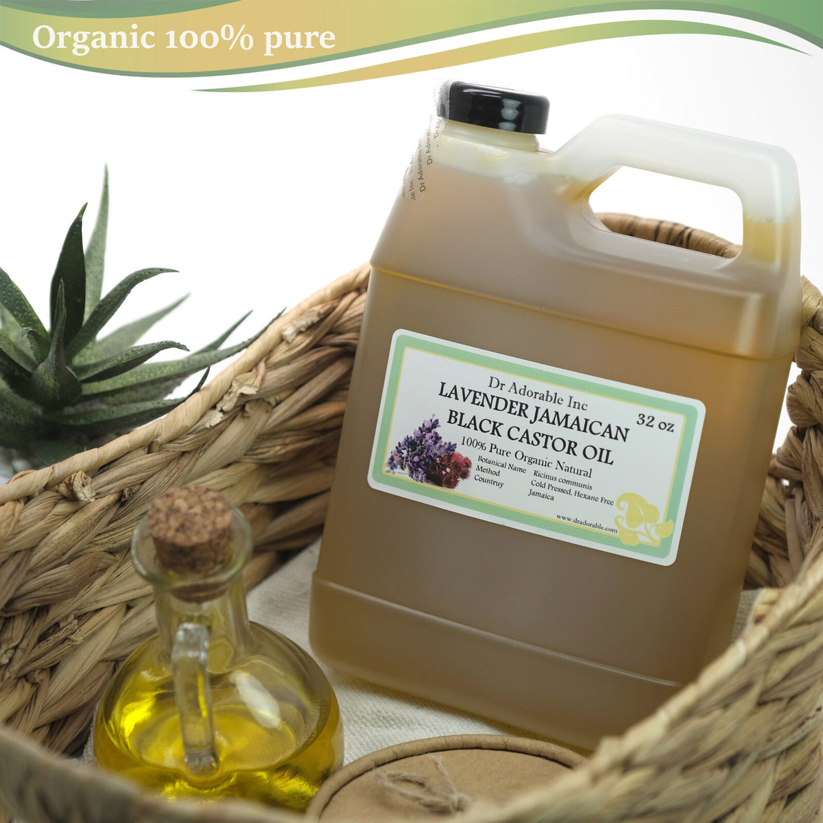 Pure Organic Lavender Jamaican Black Castor Oil for Hair & Skin - Multiple Sizes