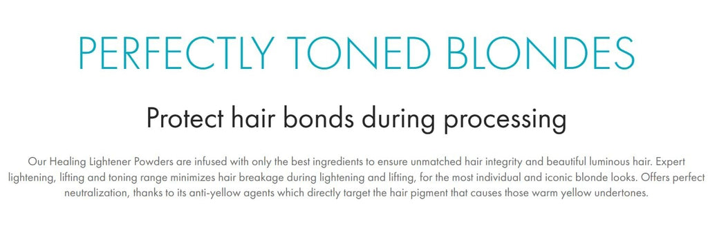 Perfect Blond Blue Lightener Powder 10 Levels 500g Hair Bleach